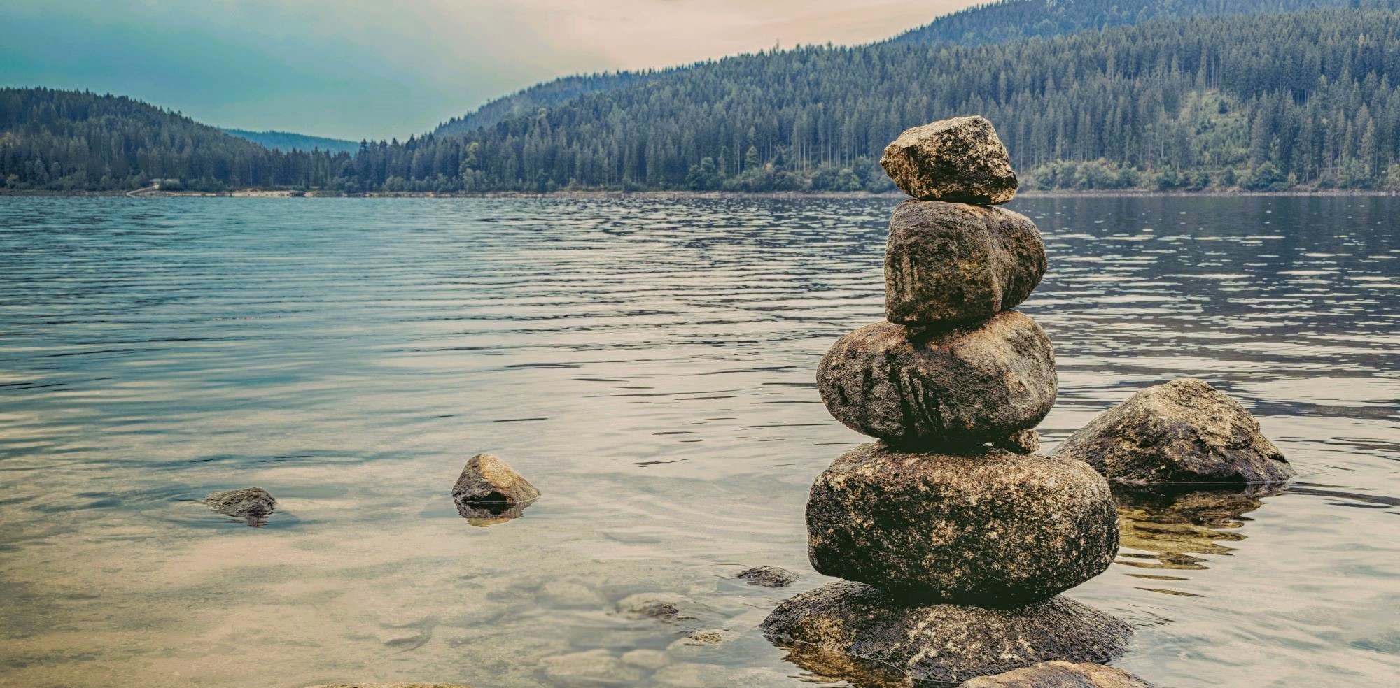 Meditation and Mindfulness