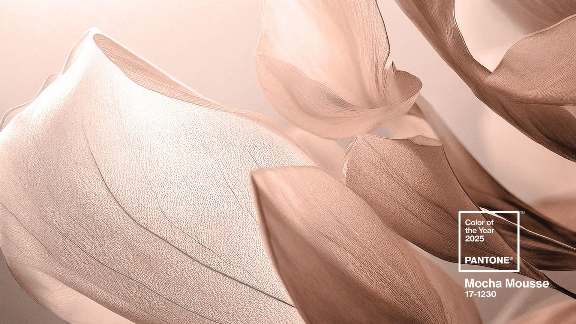 Color of the year 2025